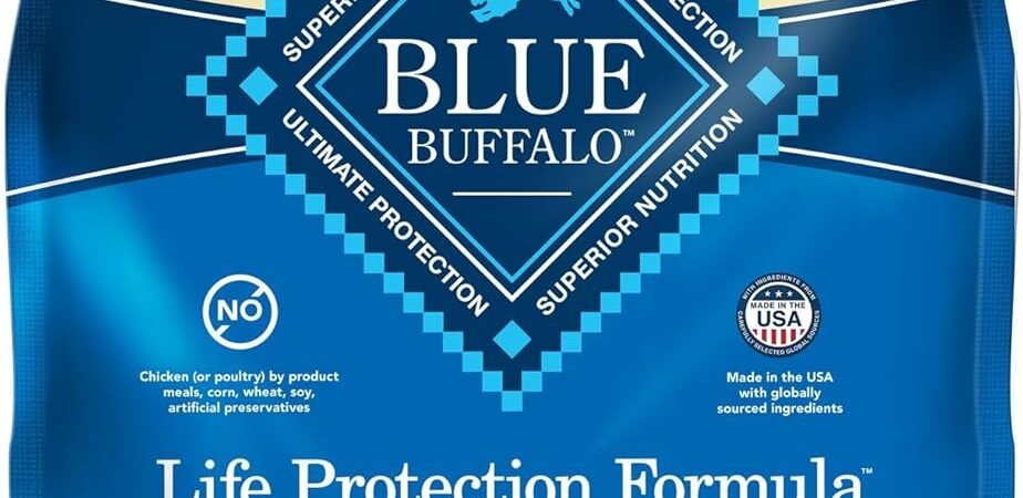 Blue Buffalo Dry Dog Food – Which One Should You Get?