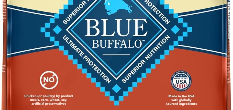 Blue Buffalo Life Protection Formula Adult Dry Dog Food Review: A Wholesome Meal for Your Furry Friend