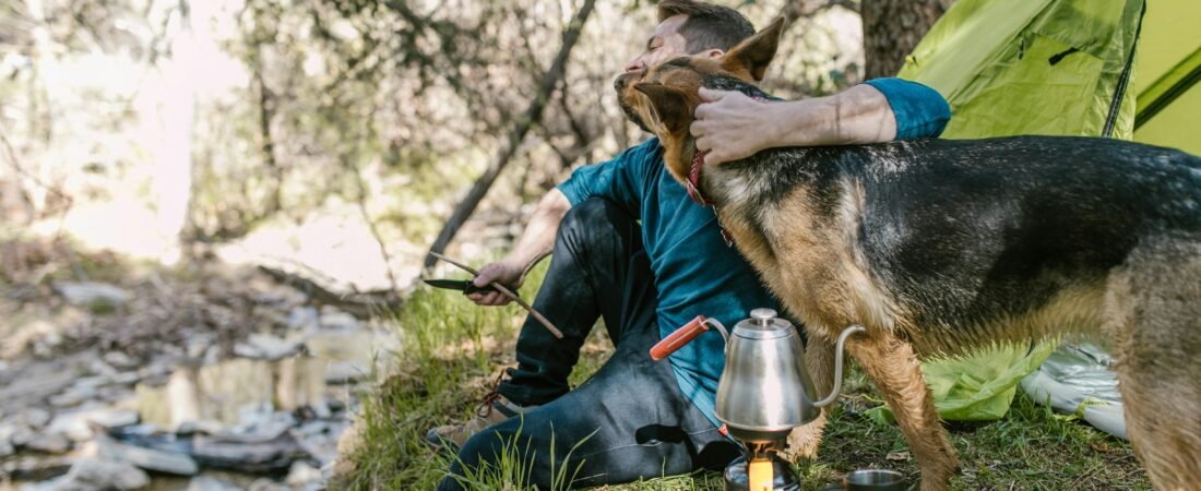 Camping and Glamping with Dogs: The Complete Gear Guide
